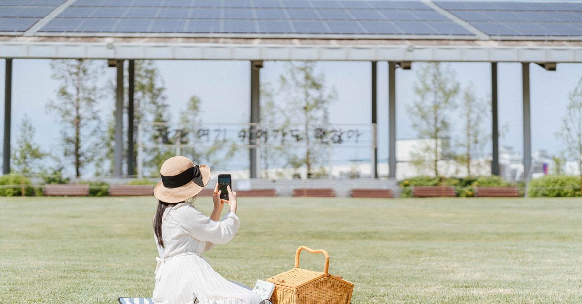 A woman in a white dress and sun hat takes photos during a picnic in a sunny park. Relaxing outdoor scene.
